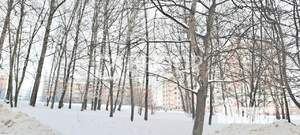 1-к квартира, вторичка, 33м2, 5/10 этаж